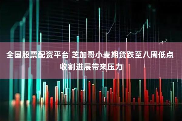 全国股票配资平台 芝加哥小麦期货跌至八周低点 收割进展带来压力