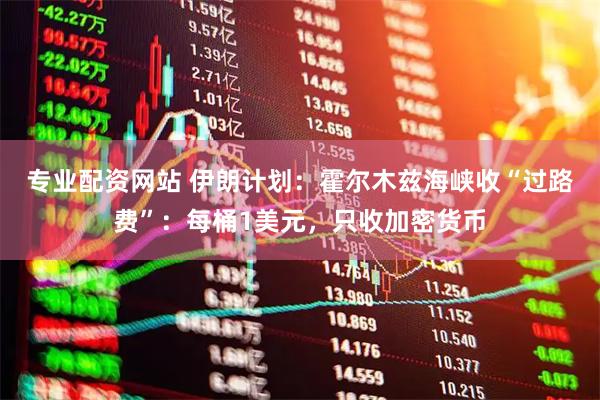 专业配资网站 伊朗计划:霍尔木兹海峡收“过路费”:每桶1美元,只收加密货币